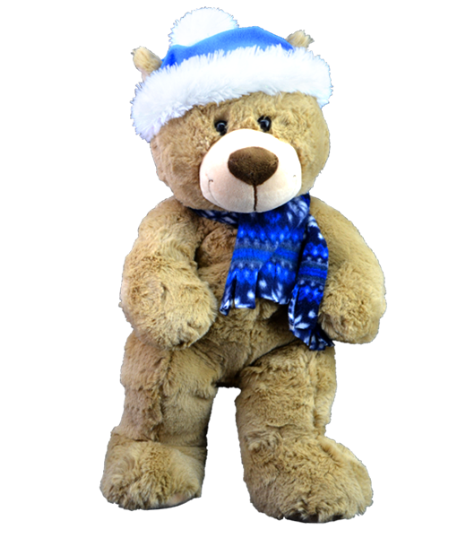 "Toboggan" the Teddy