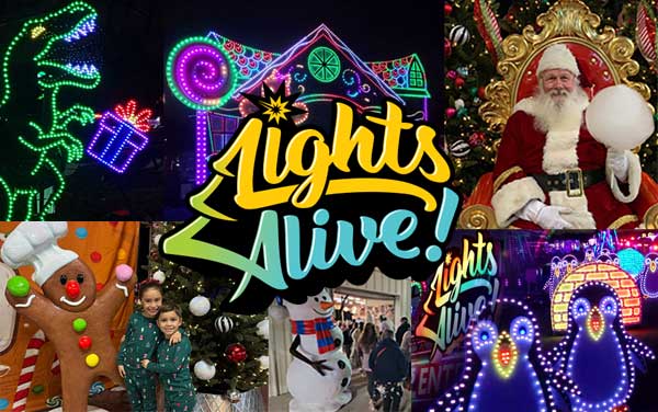 Lights Alive Only