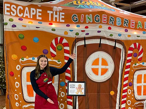 Escape Rooms Escape the Gingerbread House and Yeti Cave